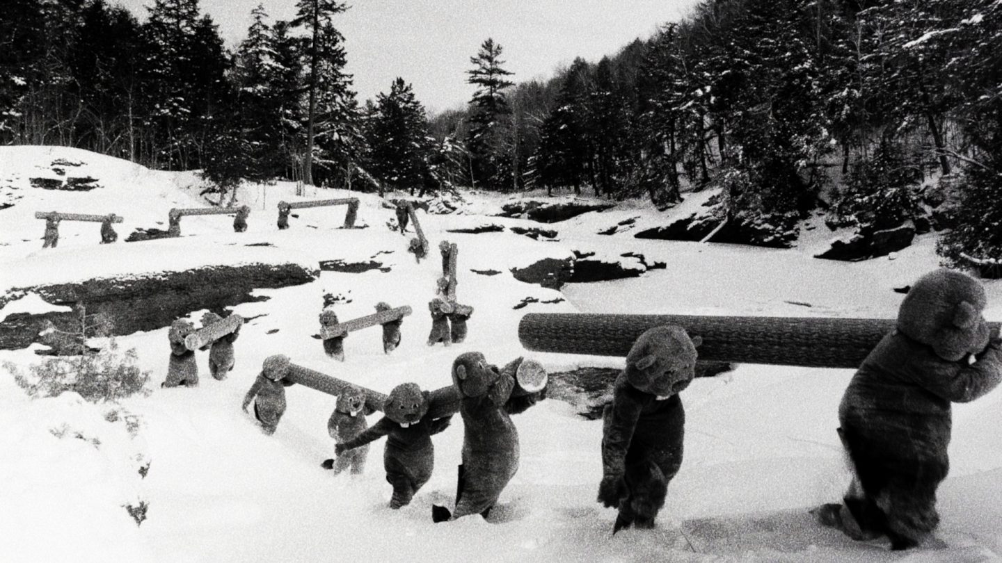 Scena dal film Hundreds of Beavers