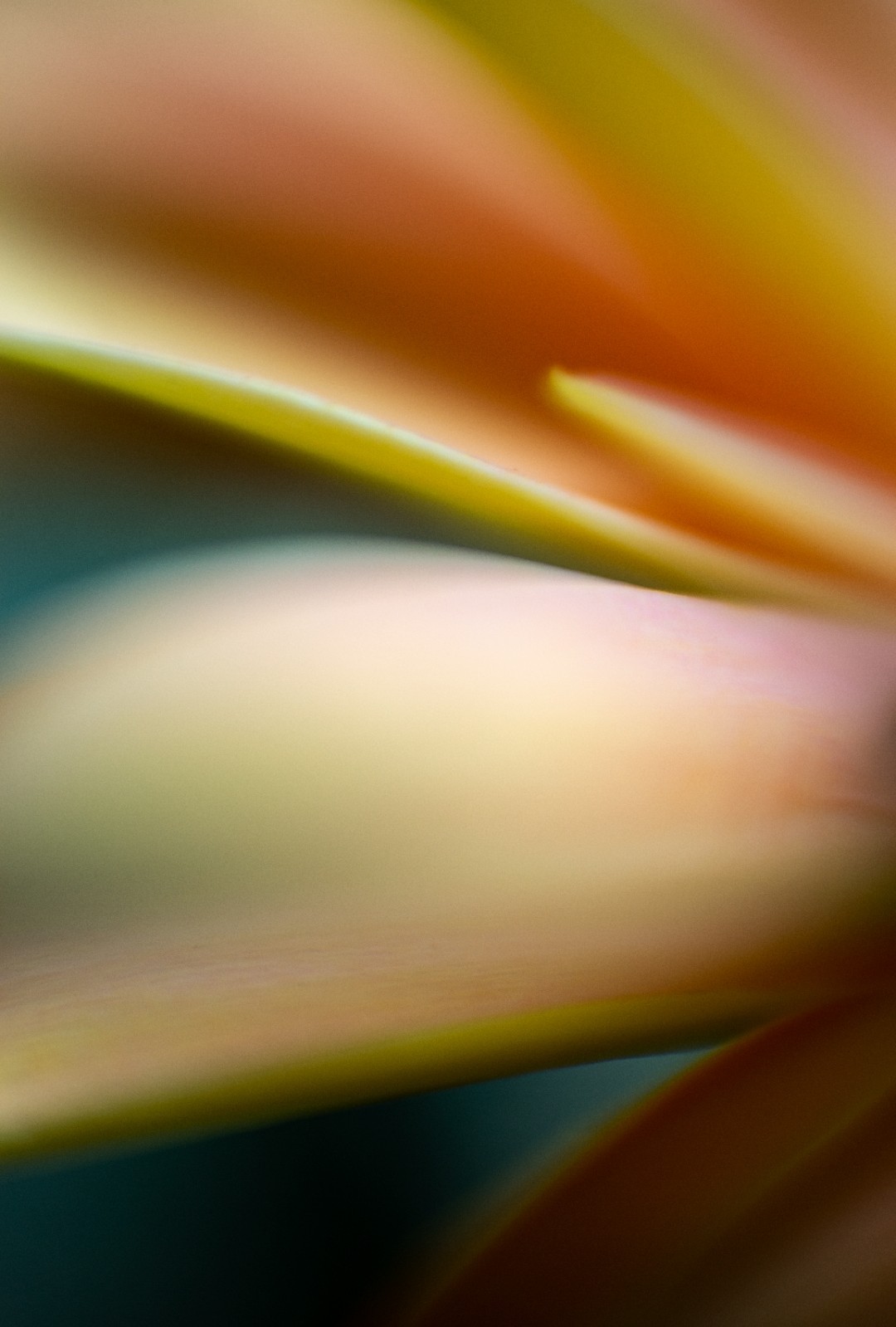 Dettaglio opera di MARTINA BALDETTI & ROBERTO PAGNANI