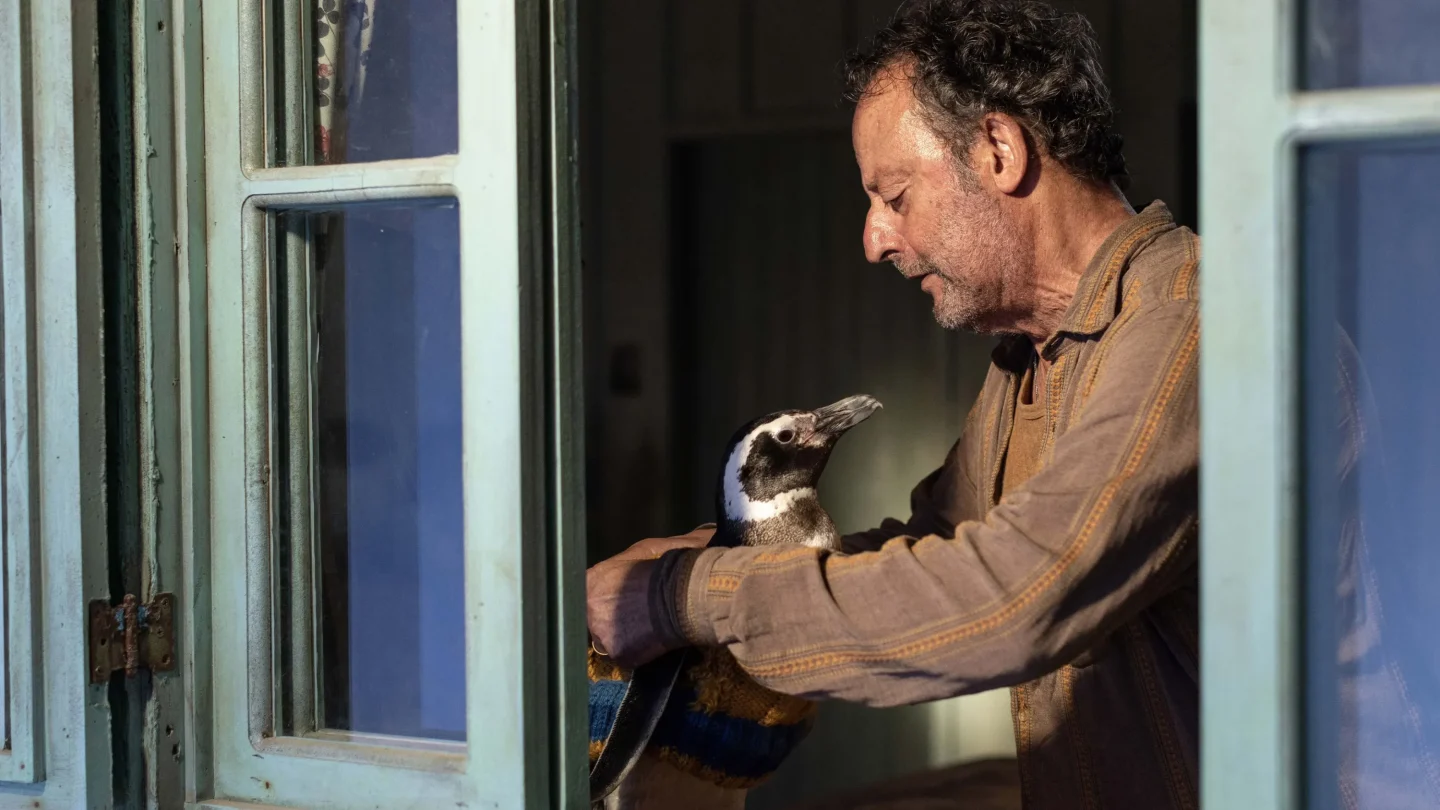 Scena dal film Il mio amico pinguino