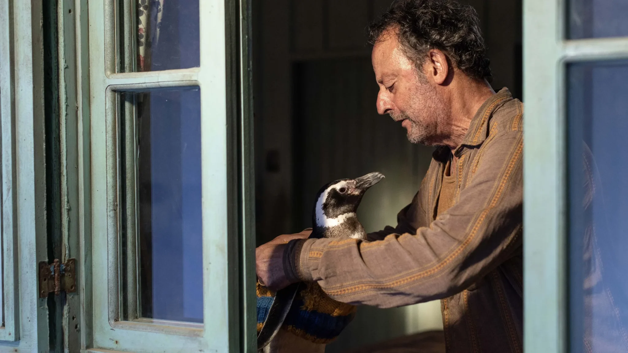 Scena dal film Il mio amico pinguino