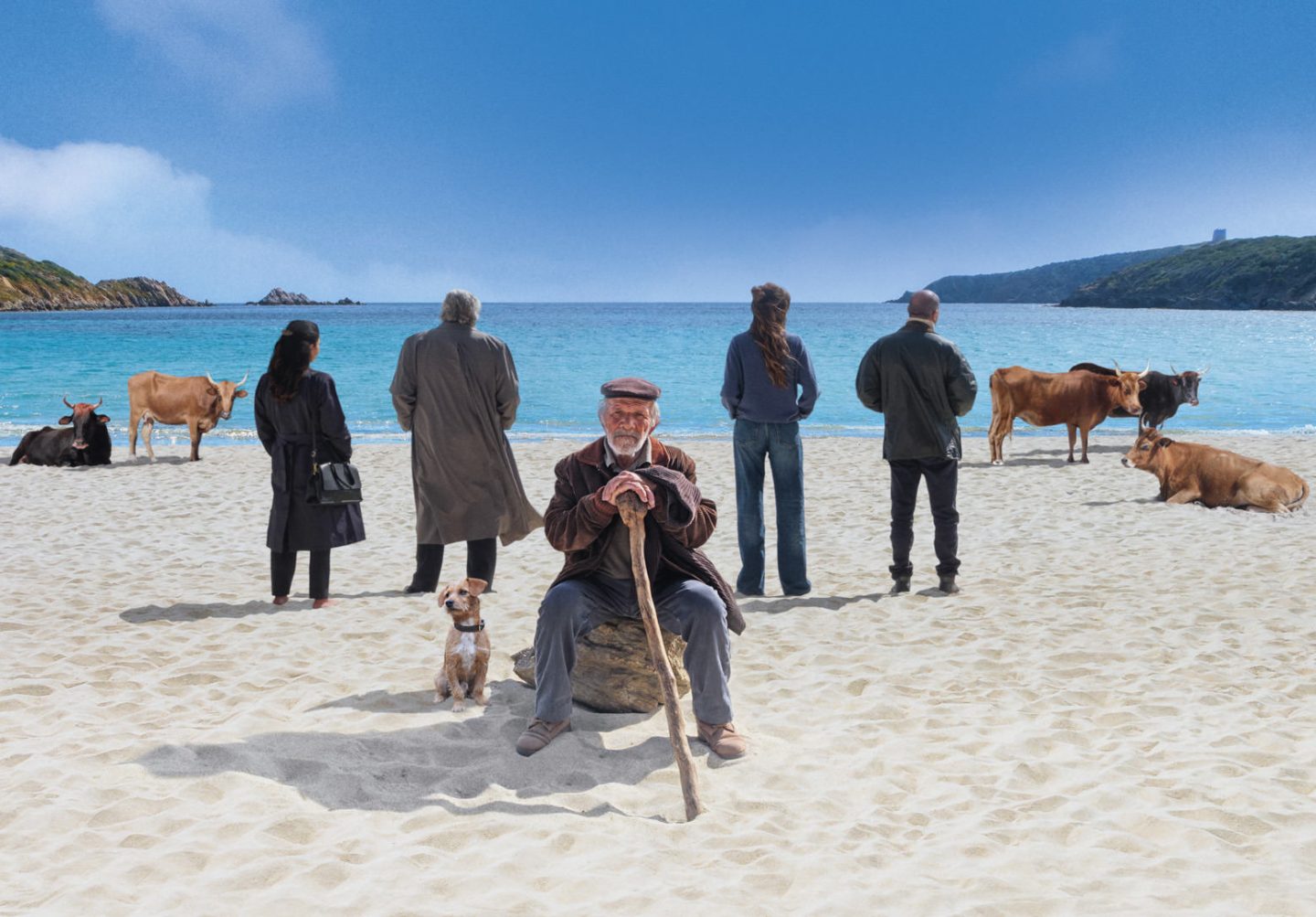Scena dal film La vita va così