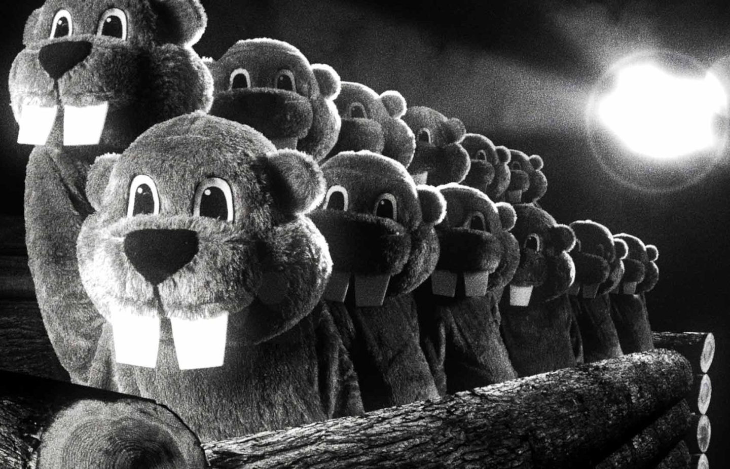 Scena dal film Hundreds of Beavers