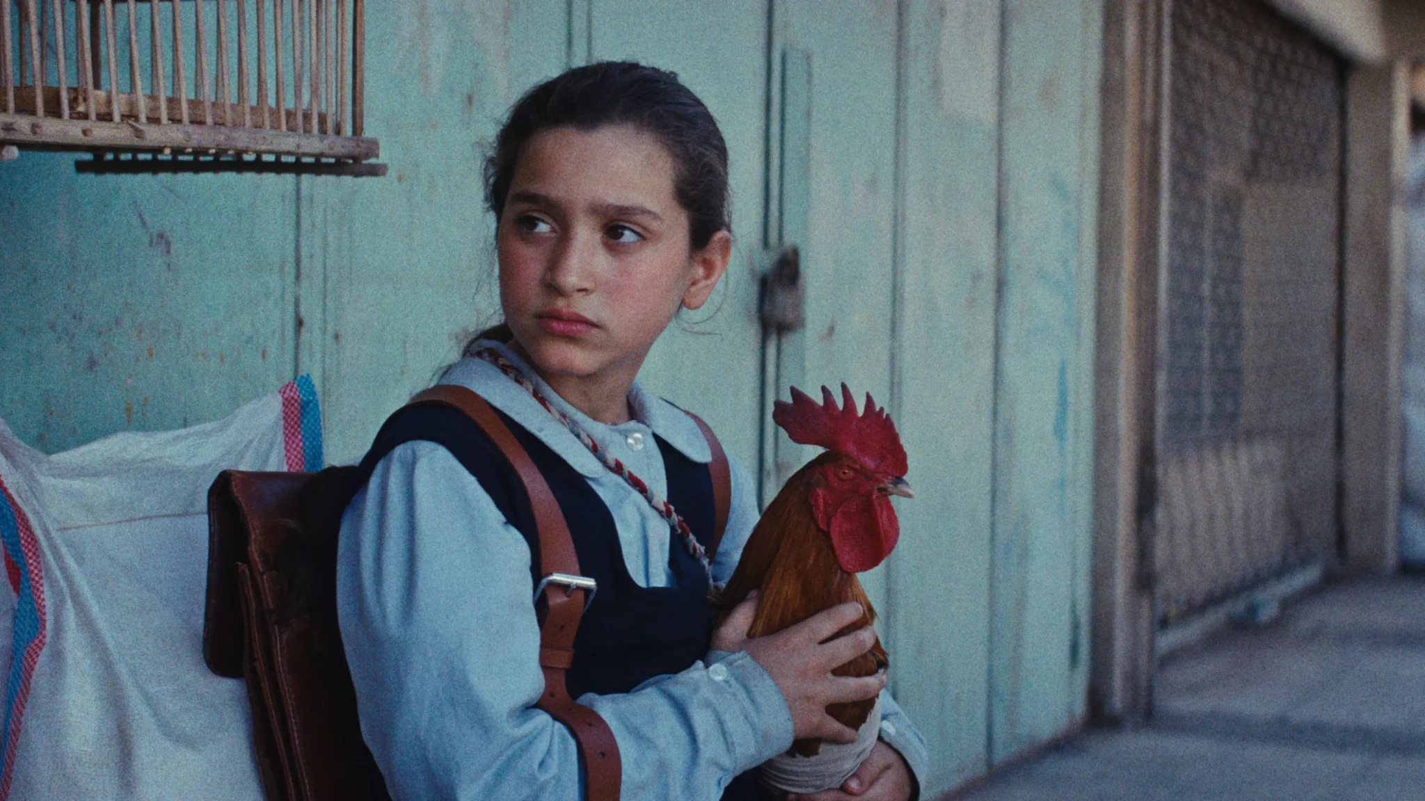 Scena dal film La torta del presidente (the president’s cake) – v. o.